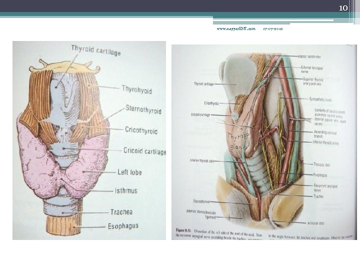 10 www. nayyar. ENT. com 17 -07 -2012 