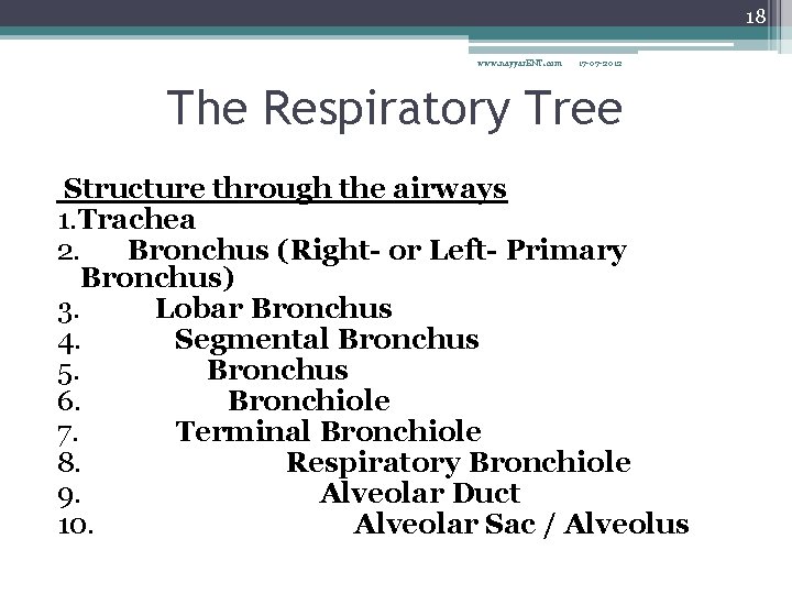 18 www. nayyar. ENT. com 17 -07 -2012 The Respiratory Tree Structure through the