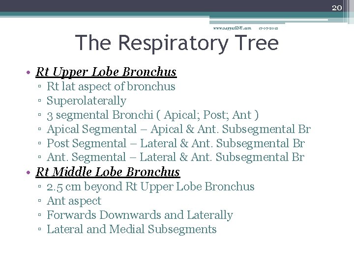 20 www. nayyar. ENT. com 17 -07 -2012 The Respiratory Tree • Rt Upper