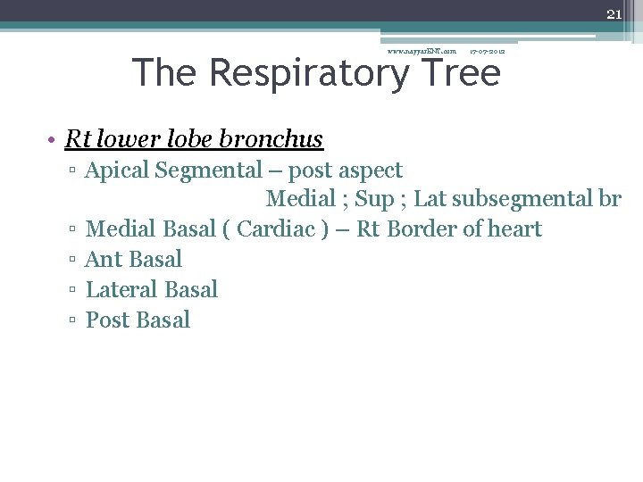 21 www. nayyar. ENT. com 17 -07 -2012 The Respiratory Tree • Rt lower