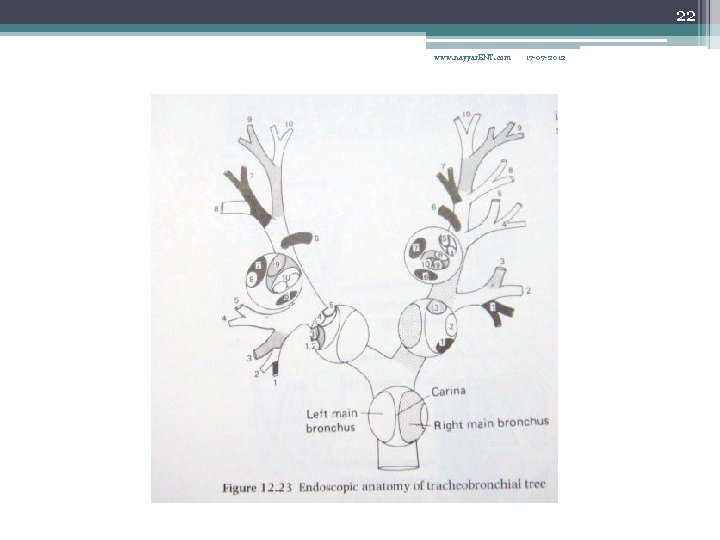 22 www. nayyar. ENT. com 17 -07 -2012 