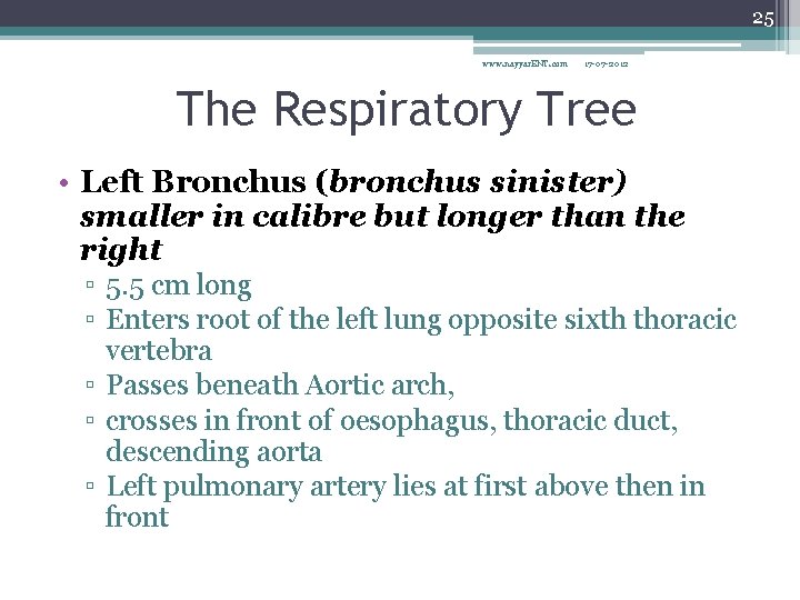 25 www. nayyar. ENT. com 17 -07 -2012 The Respiratory Tree • Left Bronchus