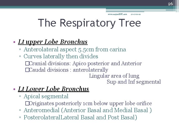 26 www. nayyar. ENT. com 17 -07 -2012 The Respiratory Tree • Lt upper