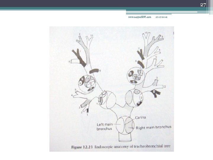 27 www. nayyar. ENT. com 17 -07 -2012 