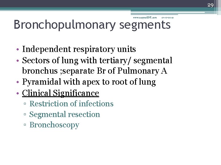 29 www. nayyar. ENT. com 17 -07 -2012 Bronchopulmonary segments • Independent respiratory units