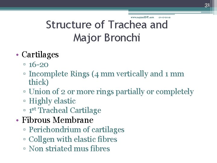 31 www. nayyar. ENT. com 17 -07 -2012 Structure of Trachea and Major Bronchi