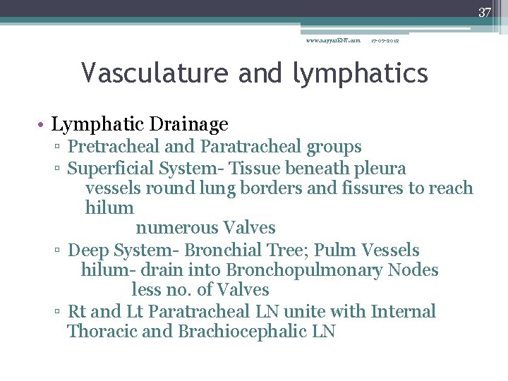 37 www. nayyar. ENT. com 17 -07 -2012 Vasculature and lymphatics • Lymphatic Drainage