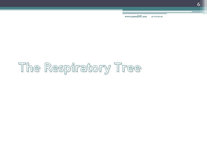 6 www. nayyar. ENT. com The Respiratory Tree 17 -07 -2012 