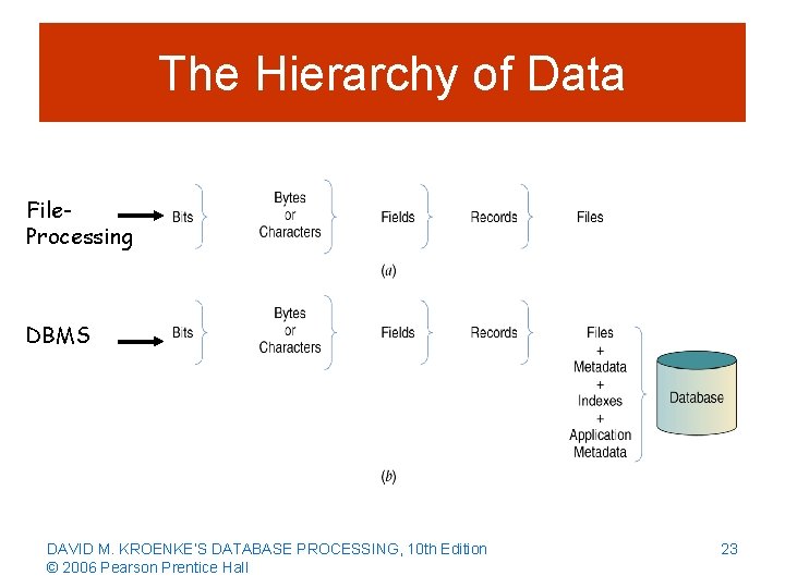 The Hierarchy of Data File. Processing DBMS DAVID M. KROENKE’S DATABASE PROCESSING, 10 th