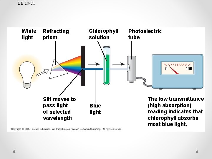 LE 10 -8 b White light Refracting prism Chlorophyll solution Photoelectric tube 0 Slit