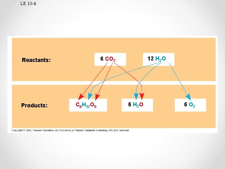 LE 10 -4 Products: 12 H 2 O 6 CO 2 Reactants: C 6