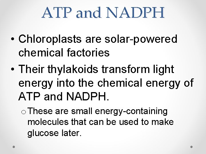 ATP and NADPH • Chloroplasts are solar-powered chemical factories • Their thylakoids transform light