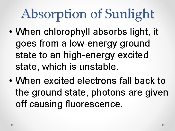 Absorption of Sunlight • When chlorophyll absorbs light, it goes from a low-energy ground