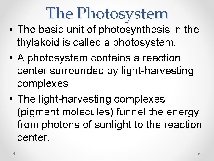 The Photosystem • The basic unit of photosynthesis in the thylakoid is called a