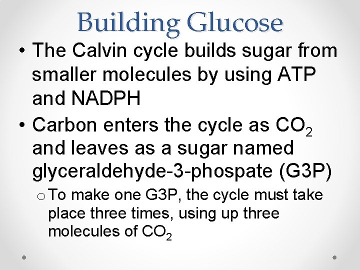 Building Glucose • The Calvin cycle builds sugar from smaller molecules by using ATP