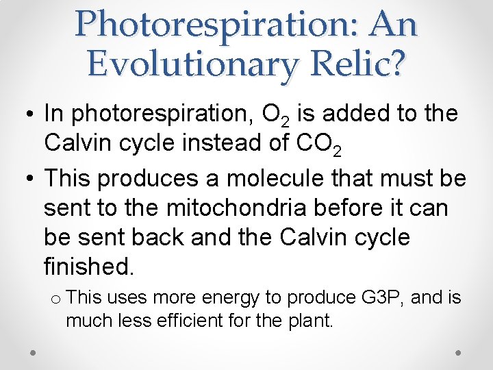 Photorespiration: An Evolutionary Relic? • In photorespiration, O 2 is added to the Calvin