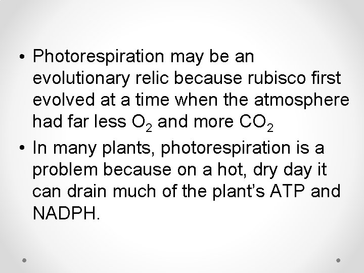  • Photorespiration may be an evolutionary relic because rubisco first evolved at a