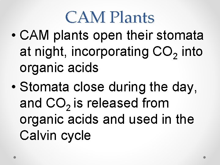 CAM Plants • CAM plants open their stomata at night, incorporating CO 2 into