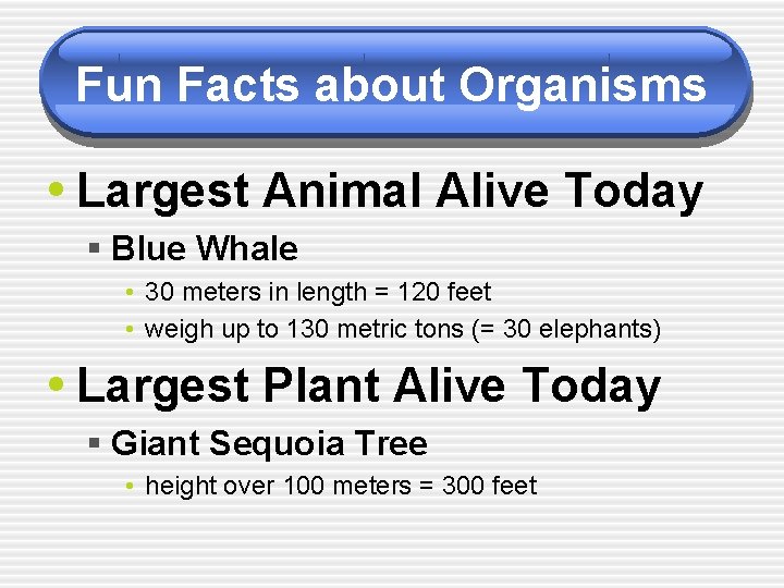 Fun Facts about Organisms • Largest Animal Alive Today § Blue Whale • 30