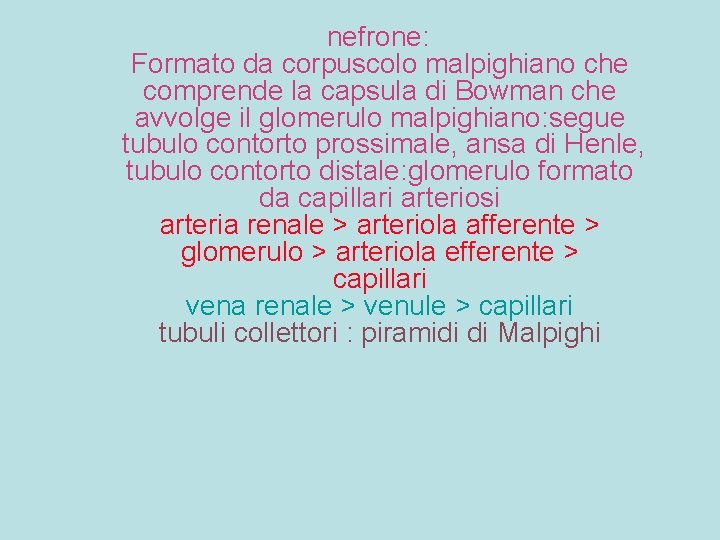 nefrone: Formato da corpuscolo malpighiano che comprende la capsula di Bowman che avvolge il