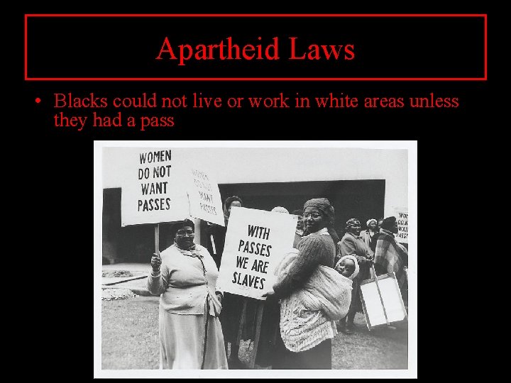 Apartheid Laws • Blacks could not live or work in white areas unless they