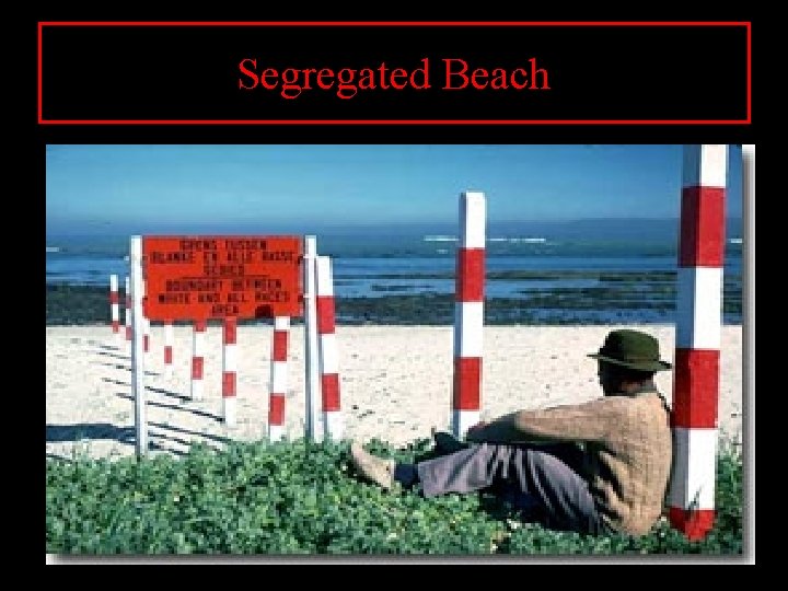 Segregated Beach 