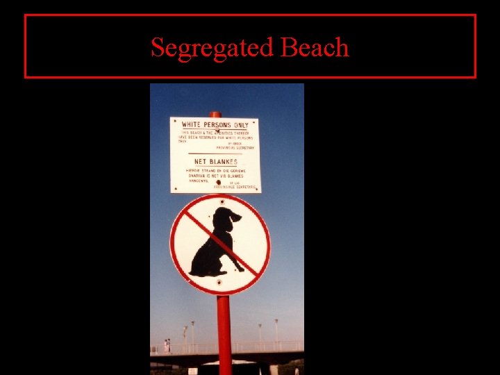 Segregated Beach 