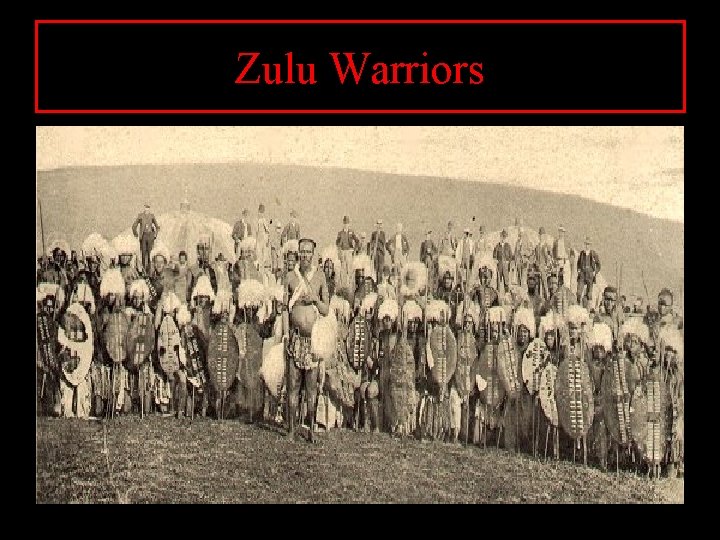 Zulu Warriors 