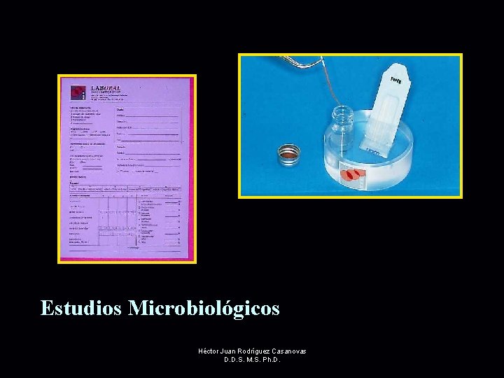 Estudios Microbiológicos Héctor Juan Rodríguez Casanovas D. D. S. M. S. Ph. D. 