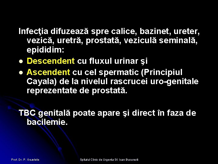 Infecţia difuzează spre calice, bazinet, ureter, vezică, uretră, prostată, veziculă seminală, epididim: l Descendent