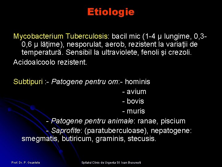 Etiologie Mycobacterium Tuberculosis: bacil mic (1 -4 μ lungime, 0, 30, 6 μ lăţime),