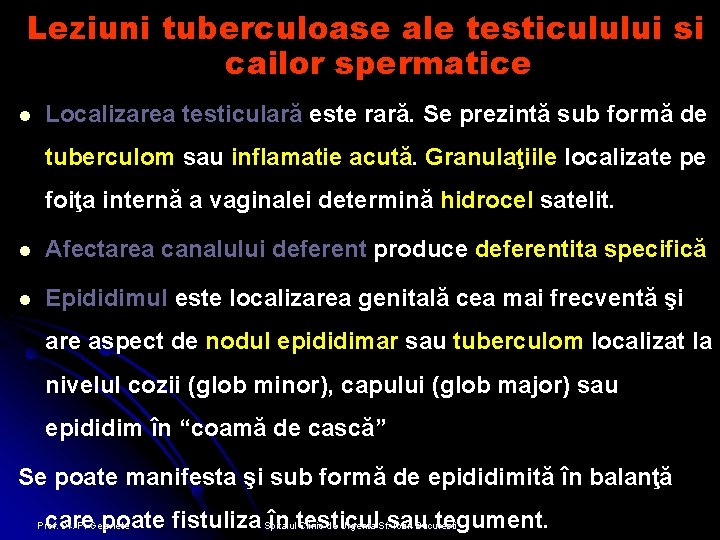 Leziuni tuberculoase ale testiculului si cailor spermatice l Localizarea testiculară este rară. Se prezintă