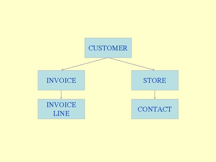 CUSTOMER INVOICE STORE INVOICE LINE CONTACT CUSTOMER INVOICE STORE INVOICE LINE CONTACT