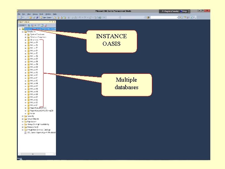 INSTANCE OASIS Multiple databases INSTANCE OASIS Multiple databases