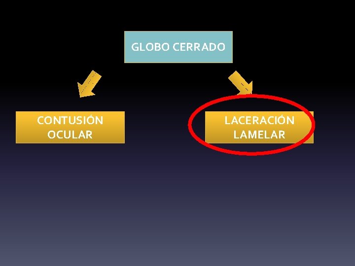 GLOBO CERRADO CONTUSIÓN OCULAR LACERACIÓN LAMELAR 