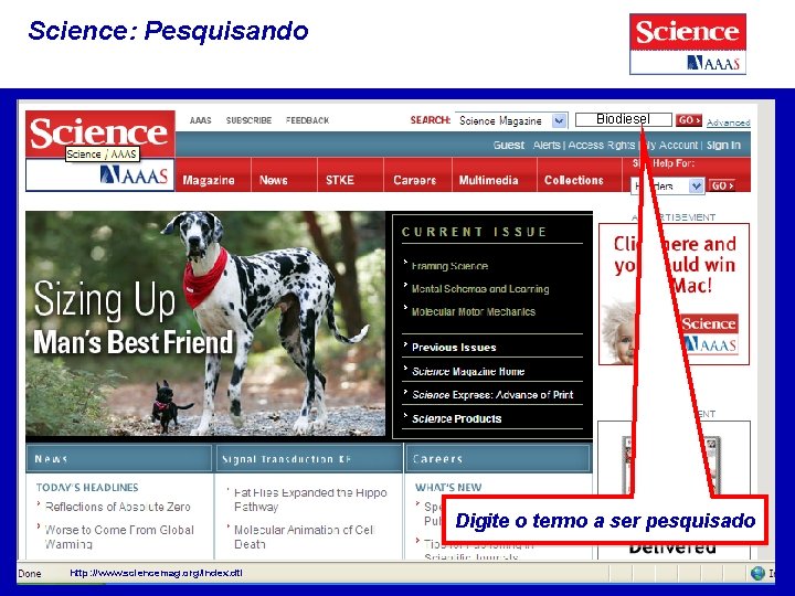 Science: Pesquisando Biodiesel Digite o termo a ser pesquisado http: //www. sciencemag. org/index. dtl