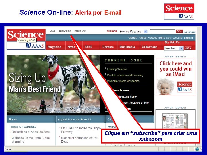 Science On-line: Alerta por E-mail Clique em “subscribe” para criar uma subconta 