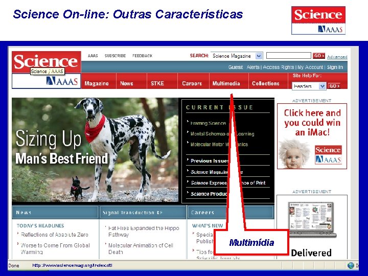 Science On-line: Outras Características Multimídia http: //www. sciencemag. org/index. dtl 