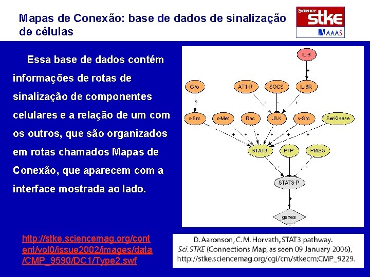 Mapas de Conexão: base de dados de sinalização de células Essa base de dados