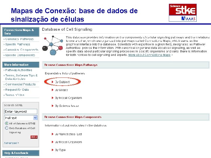 Mapas de Conexão: base de dados de sinalização de células 