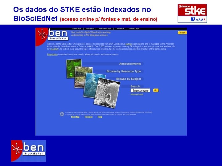 Os dados do STKE estão indexados no Bio. Sci. Ed. Net (acesso online p/