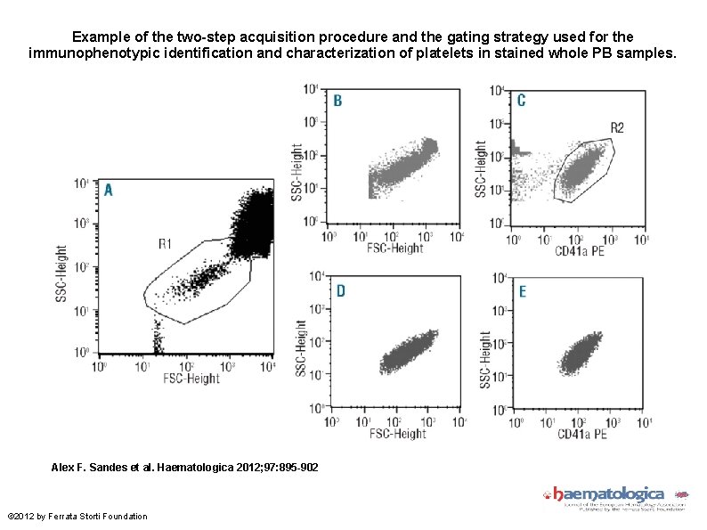 Example of the two-step acquisition procedure and the gating strategy used for the immunophenotypic