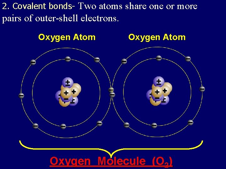 2. Covalent bonds- Two atoms share one or more pairs of outer-shell electrons. Oxygen