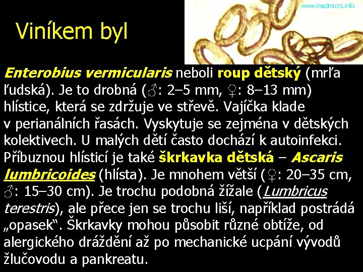 www. medmicro. info Viníkem byl Enterobius vermicularis neboli roup dětský (mrľa ľudská). Je to