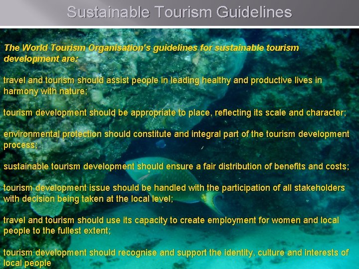 Sustainable Tourism Guidelines The World Tourism Organisation’s guidelines for sustainable tourism development are: travel