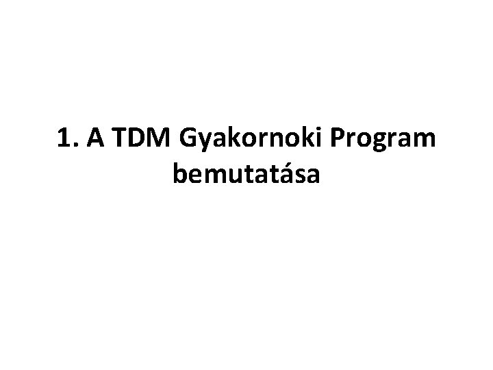 1. A TDM Gyakornoki Program bemutatása 