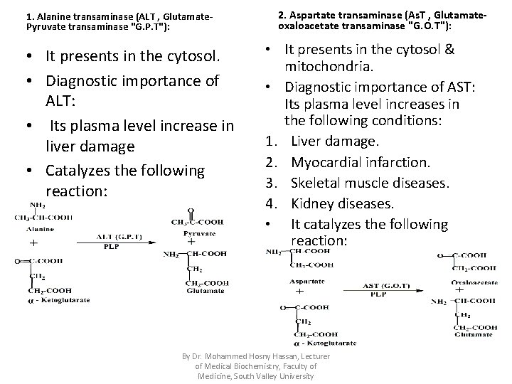 1. Alanine transaminase (ALT , Glutamate. Pyruvate transaminase "G. P. T"): • It presents