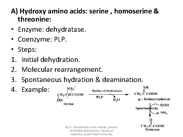 A) Hydroxy amino acids: serine , homoserine & threonine: • Enzyme: dehydratase. • Coenzyme: