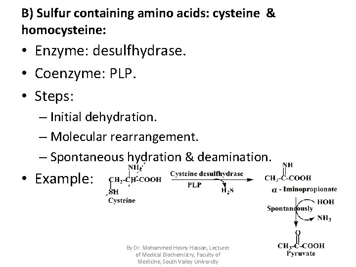 B) Sulfur containing amino acids: cysteine & homocysteine: • Enzyme: desulfhydrase. • Coenzyme: PLP.