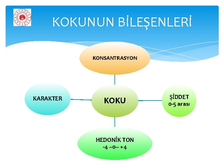 KOKUNUN BİLEŞENLERİ KONSANTRASYON KARAKTER KOKU HEDONİK TON -4 ~0~ +4 ŞİDDET 0 -5 arası